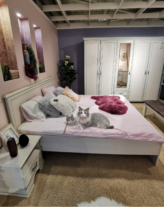 Best Paint Colors for Calming Bedrooms